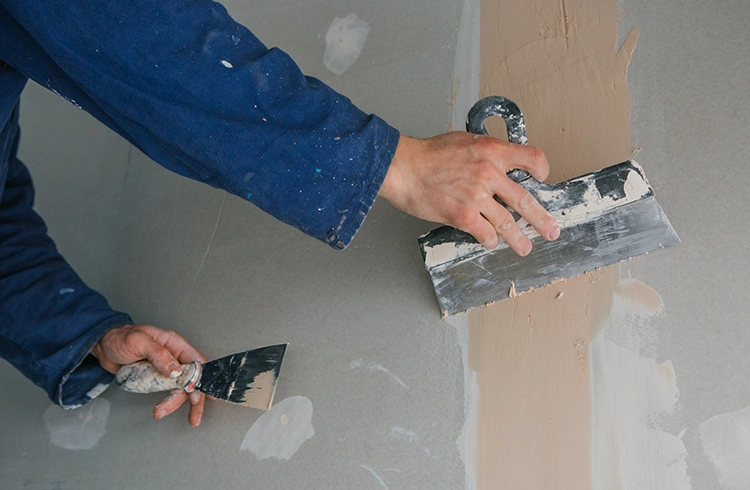 Decorative Plasters & Surface Treatments